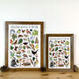 Hedgerow Wildlife Of Britain Watercolour Postcard, thumbnail 6 of 12