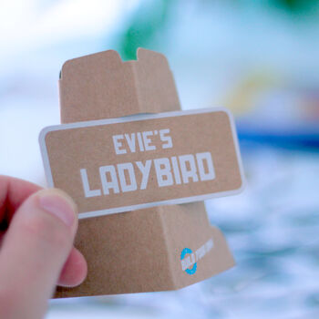 Build Your Own Personalised Ladybird Kit, 6 of 12