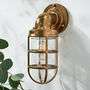 Sedgwick Caged Outdoor Wall Light, thumbnail 1 of 6