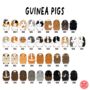 Personalised You And Your Guinea Pig Backpack, thumbnail 3 of 9