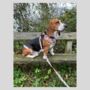 Patchwork/Plaid Dog Poo Bag Holder, thumbnail 6 of 7