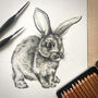 Bunny Rabbit Picture, Watercolour Artwork Print, thumbnail 4 of 7