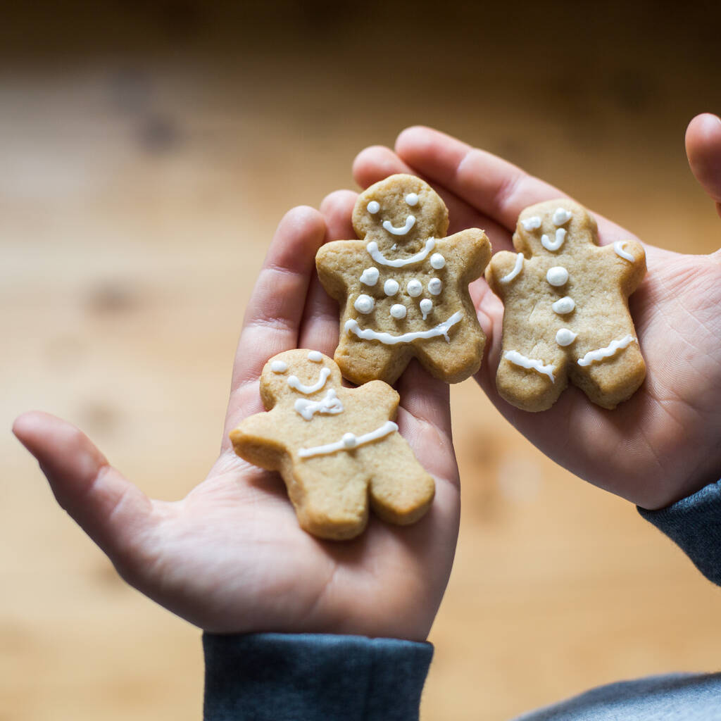 Mini Gingerbread Christmas Biscuit Kit By craft & crumb