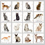 Cat Owners Treat Tin 16 Breeds Available, thumbnail 3 of 8