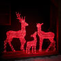 Twinkly Smart LED Light Up Christmas Reindeer Family, thumbnail 10 of 12