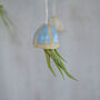 Jellyfish Air Plant Hanging Decorations Stone, thumbnail 5 of 8