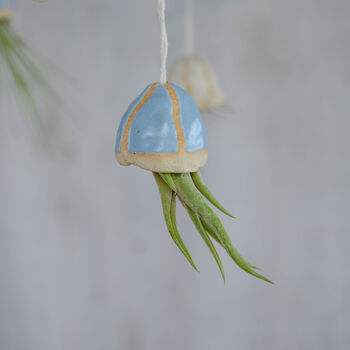 Jellyfish Air Plant Hanging Decorations Stone, 5 of 8