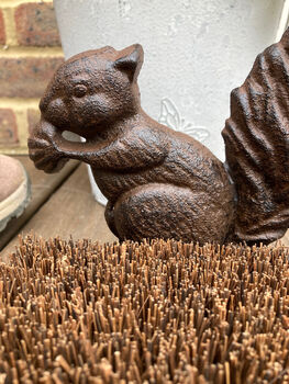 Squirrel Cast Iron Boot Brush And Shoe Scraper Cleaner – Metal Brown, 4 of 5