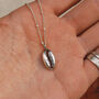 Cowrie Shell Necklace In Silver Or Gold, thumbnail 4 of 5