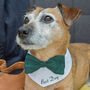 Personalised Dog Bow Tie Wedding Bandana, thumbnail 1 of 12