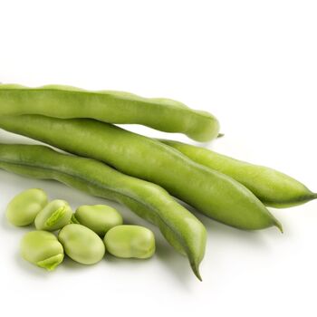 Seeds Broad Beans 'Imperial Long Pod' 12 X Seed Pack, 4 of 9