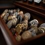 Premium Coin Display Case Christmas Gift Walnut, thumbnail 3 of 9