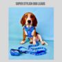 Blue Polka Dot Dog Lead/Leash, thumbnail 4 of 4