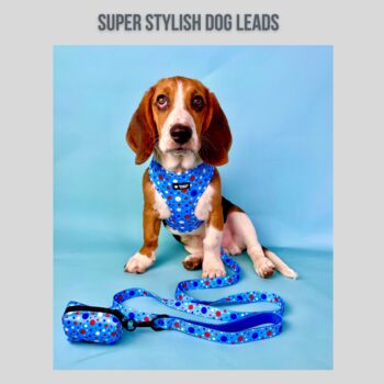 Blue Polka Dot Dog Lead/Leash, 4 of 4