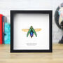 Detanii Jewel Beetle Insect Bug Entomology Taxidermy Box Frame, thumbnail 1 of 3