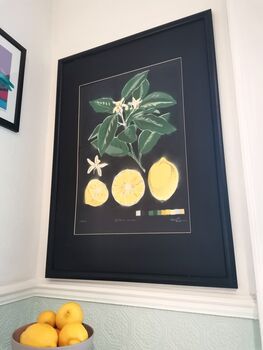 'Citrus Limon' Original Signed Spraypaint, 11 of 12