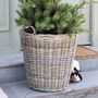 Extra Large Zinc Lined Rattan Planter, thumbnail 1 of 6