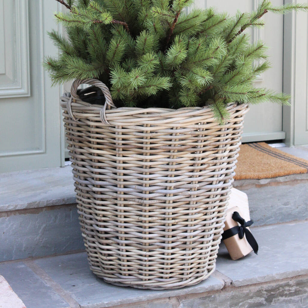 Extra Large Zinc Lined Rattan Planter, 1 of 6