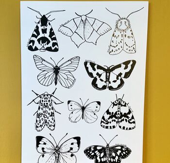 British Moths And Butterflies Print, 5 of 6