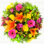 Vibrant Hand Tied Fresh Flower Bouquet, thumbnail 2 of 8