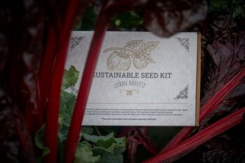 Sustainable Seed Kit. Plants For The Vegetable Patch, 6 of 6