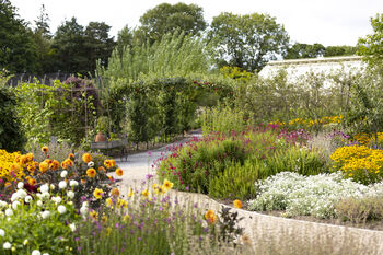 Entrance To R.H.S Garden Harlow Carr For Two, 2 of 11