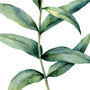 Set Of Three Botanical Watercolour Leaf Prints, thumbnail 8 of 8