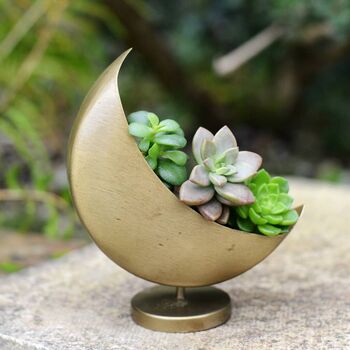 Metal Moon Shaped Planter With Choice Of Suculents, 4 of 4
