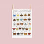 The A To Z Of Butterflies Print, thumbnail 2 of 6