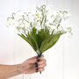 Everlasting Bouquet Of Snowdrops, thumbnail 1 of 2
