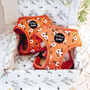 Peach And Ivy Blossom Dog Harness, thumbnail 1 of 4