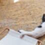 Solid Copper Cat And Dog Hammock, Minimalist Copper Pet Lounger, thumbnail 4 of 5