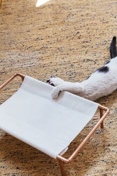 Solid Copper Cat And Dog Hammock, Minimalist Copper Pet Lounger, 4 of 5