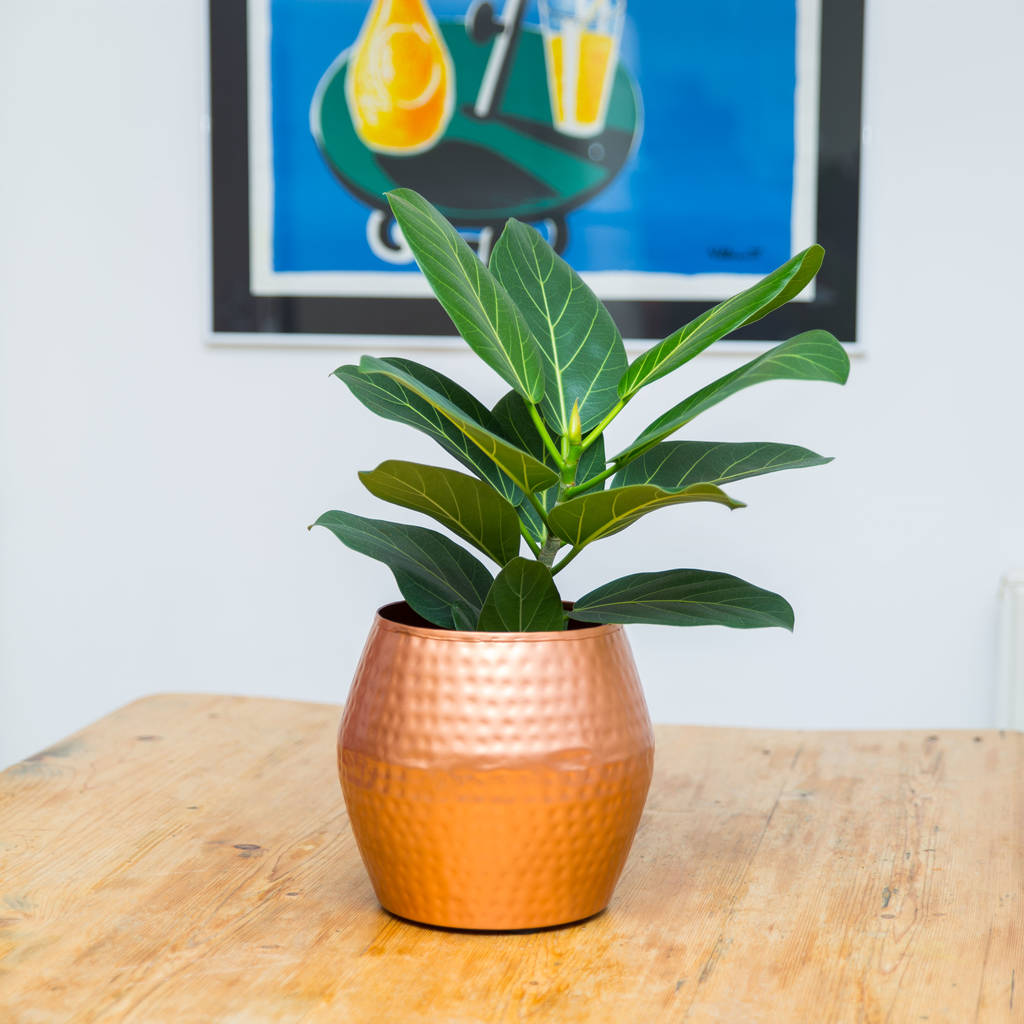 large dimpled copper planter plant pot by stupid egg interiors