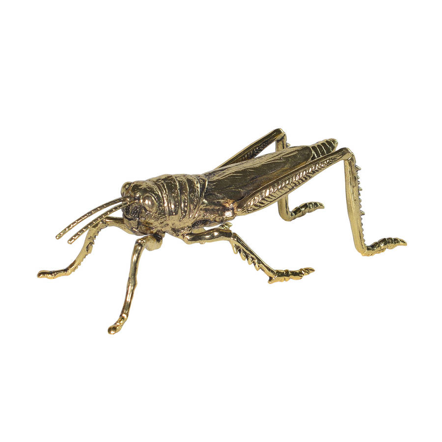 Grasshopper Ornament In Gold By Out There Interiors ...