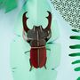 Stag Beetle Diy Wall Decoration, thumbnail 1 of 5