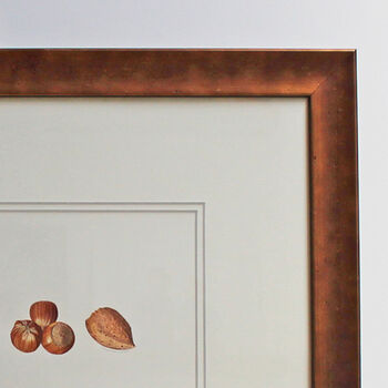 ' Mixed Nuts ' Botanical Watercolour Illustration, 2 of 2