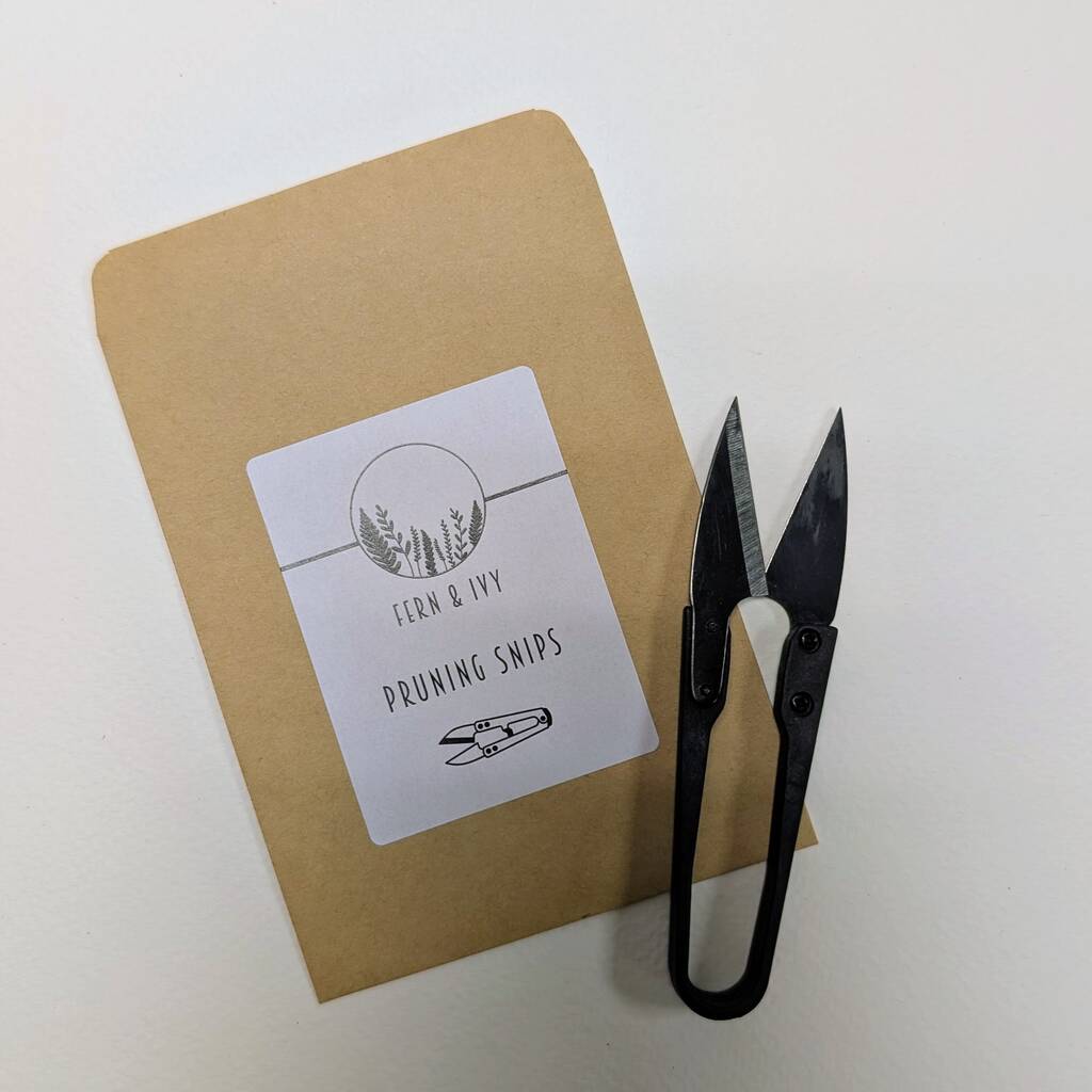 Indoor Houseplant Pruning Snips, 1 of 3