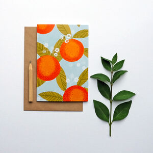 Orange Blossom Greeting Card By Stephanie Cole Design