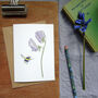 Sweet Pea And Bee Any Occasion Greetings Card, thumbnail 1 of 8