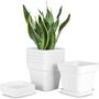 Six Pieces White Square Planter Small Flower Pot, thumbnail 3 of 8