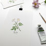 ‘Dog Rose’ Wildflower Botanical Giclée Art Print, thumbnail 2 of 3
