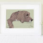Personalised Hand Drawn Pet Dog Portrait, thumbnail 2 of 10