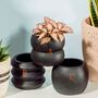 Totem Black Cement Planter With A Succulent Or Cactus, thumbnail 3 of 5