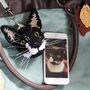 Personalised Crocheted Cat Head Bag Charm Keyring, thumbnail 1 of 11