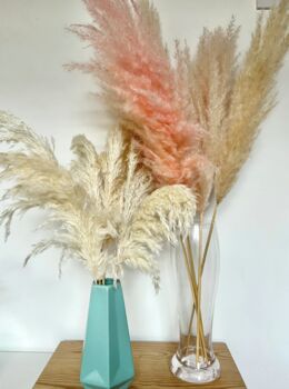 Dried Pampas Stems, 3 of 4