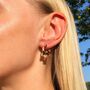 Gold Plated Interlocking Curb Chain Stud Earrings, thumbnail 5 of 6