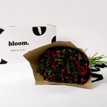 Bordeaux Red Alstroemeria Fresh Flower Bouquet, 3 of 3