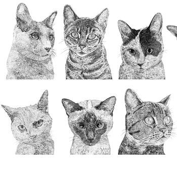 Cat Collection Print, 4 of 4