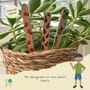 Children's Eco Activity Box: Food Glorious Food, thumbnail 8 of 12